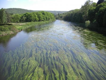 La Semoy à Naux