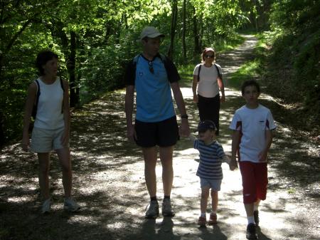 En chemin en forêt