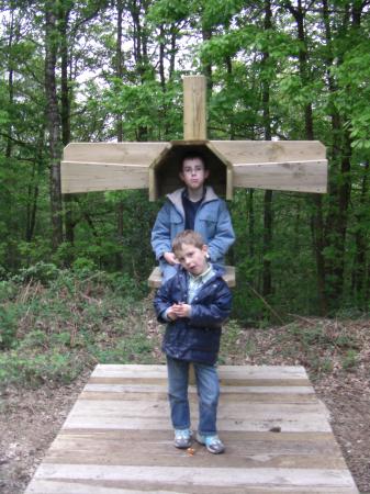 Appareil à écouter le bruit de la forêt