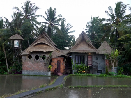maison dans la rizière de ubud