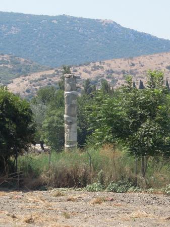 Temple d'Artemis (ce qu'il en reste !)