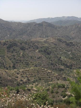 Paysage des contreforts des Troodos