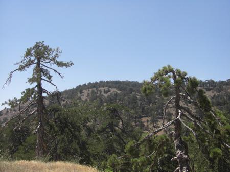 Le massif du Troodos