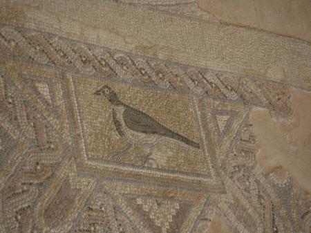 Détail d'une mosaïque de Kourion
