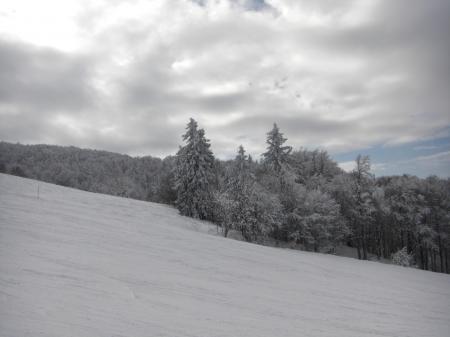 Vue des pistes