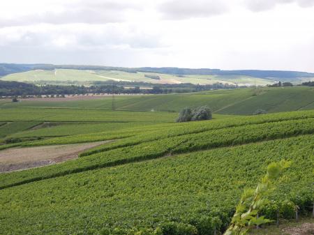 Terroir viticole de Neuville-sur-Seine