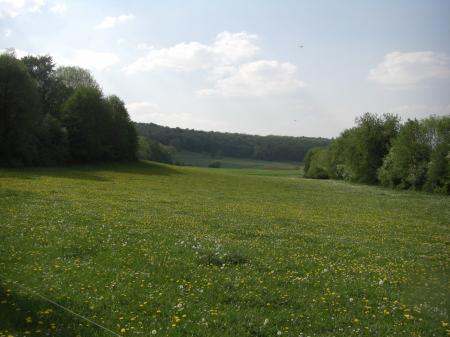 Prés en fleur au-dessus d'Etrepigny