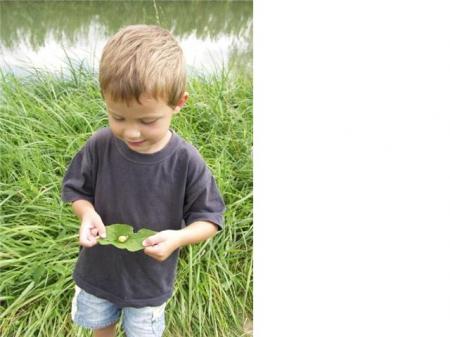 Thibaut et son escargot