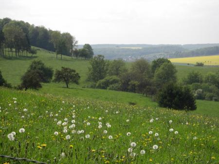 Paysage de la Thiérache au printemps