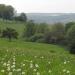 Paysage de la Thiérache au printemps