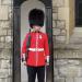 Garde de la Tour de Londres