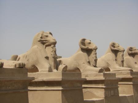 Sphinx du temple de Karnak