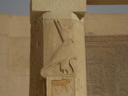 Horus, dans le temple d'Hatshpsout