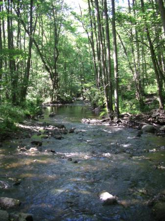 La Hulle