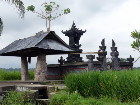 Temple dans une rizière à Blayu