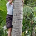 Catherine monte sur un cocotier