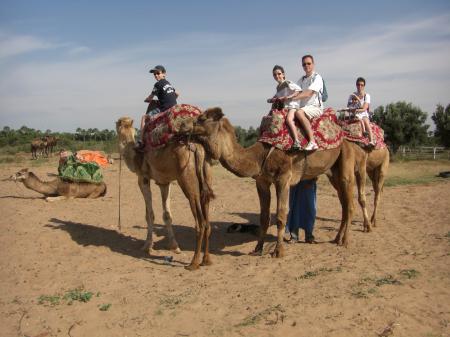 Toue la famille en profite