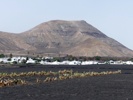 champ de maïs à Yaiza