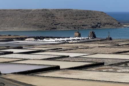 Saline de Janubio