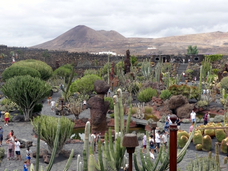 Jardin de cactus