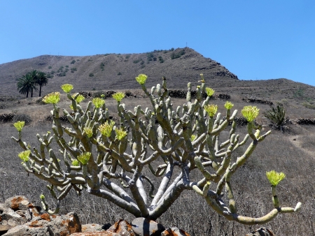 Près de Haria